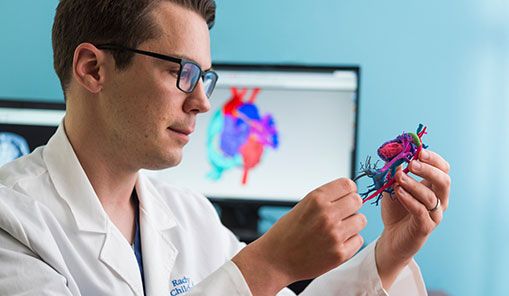 Young male doctor holds and observes a 3D printed mold of a patients heart.