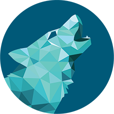 Teal Westwind wolf logo, representing IT products and solutions